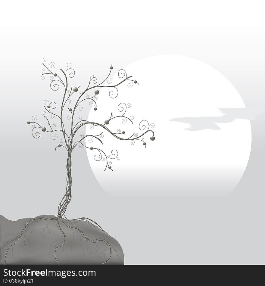 Gray tree on an edge of a rock and rising sun