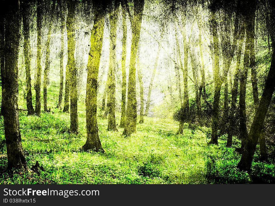 Grunge forest background with space for text or image