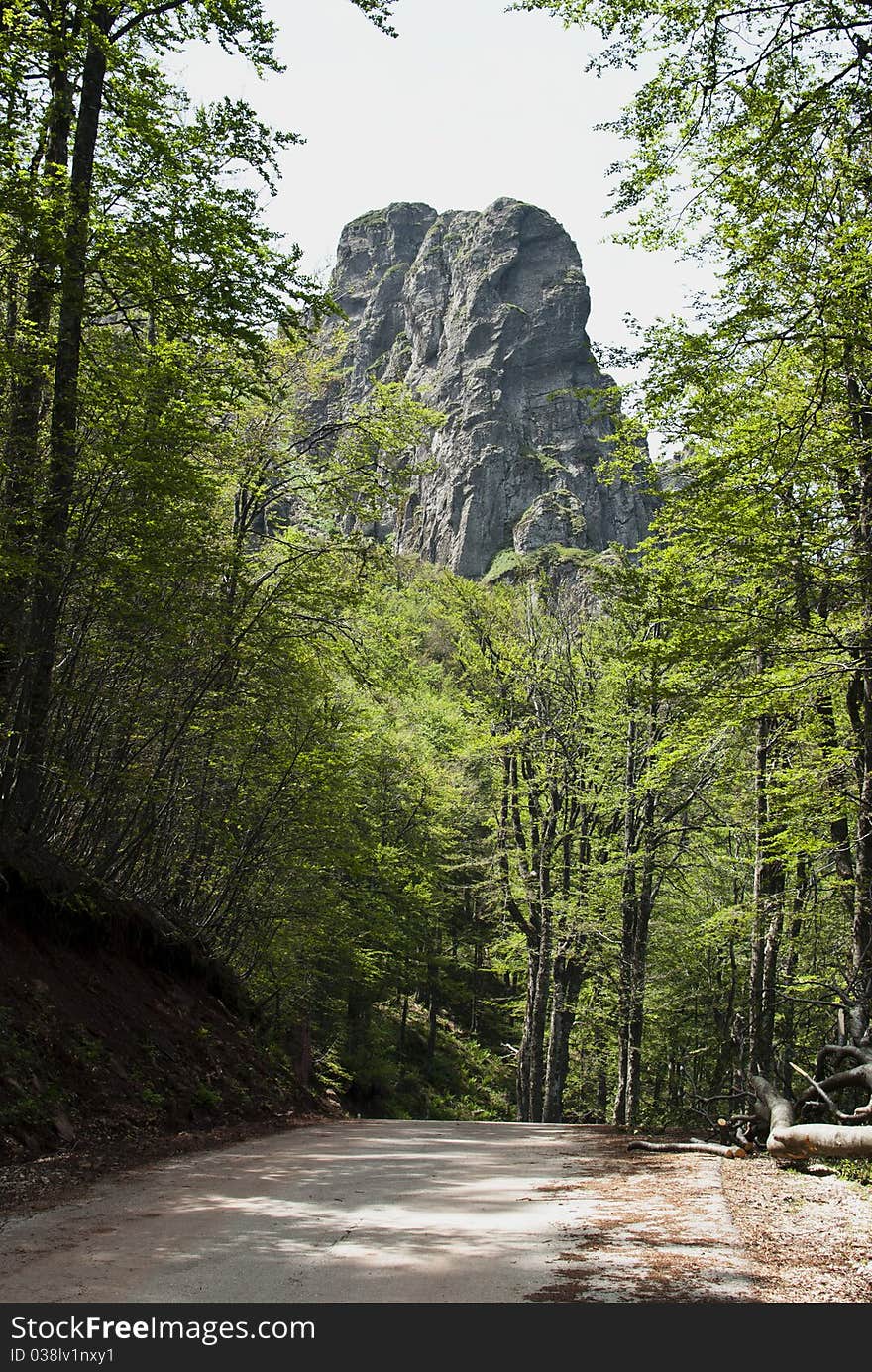 Mountain Road