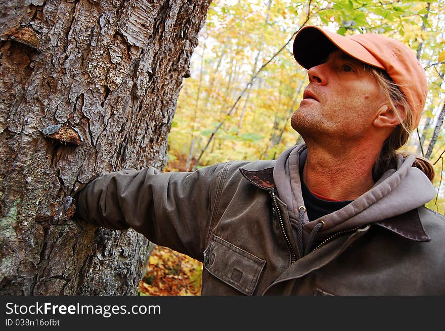 A man reaching through a hole inside a tree. A man reaching through a hole inside a tree.