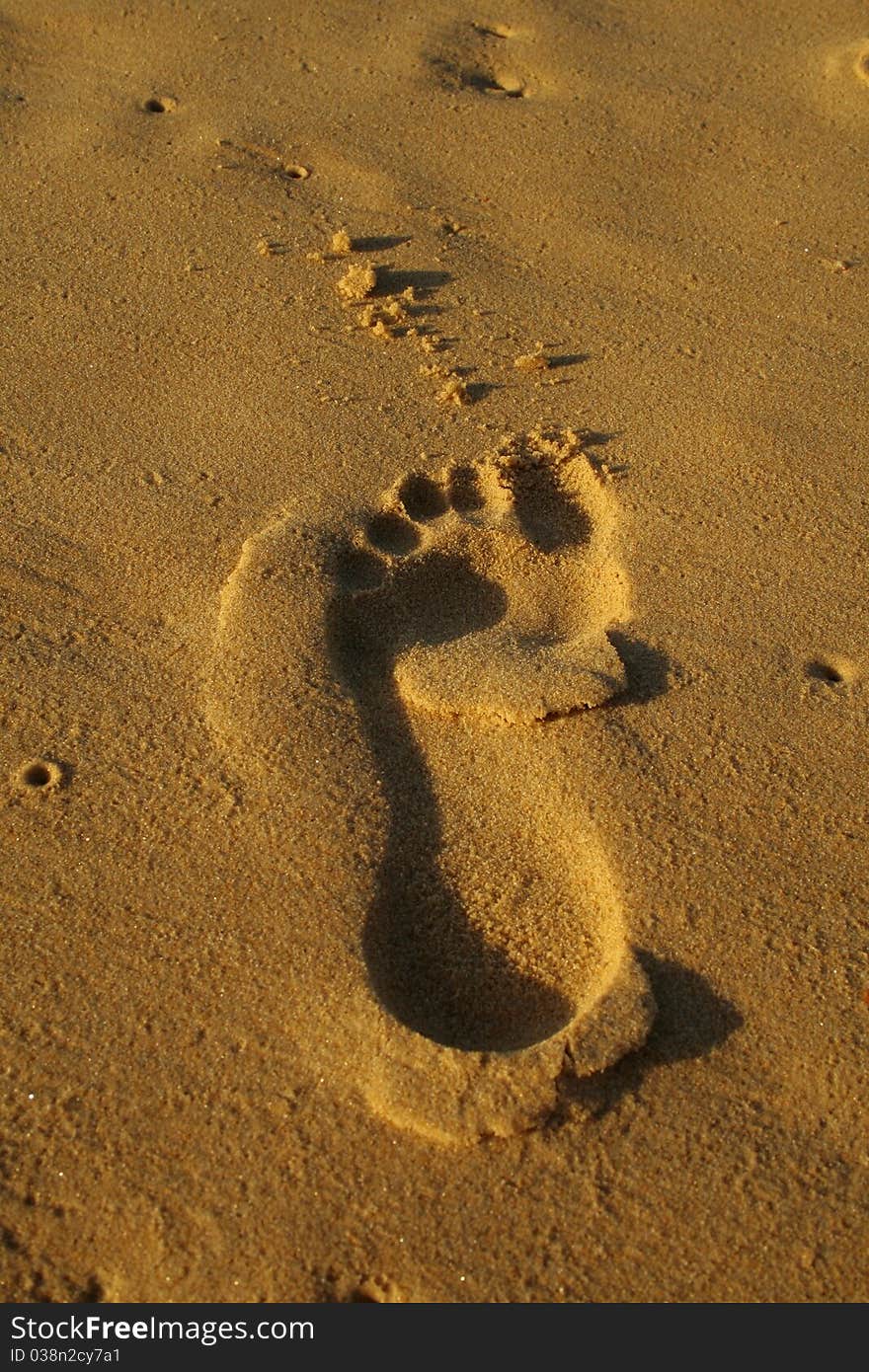 A lone Footprint in the Sand at Red Head Beach Australia