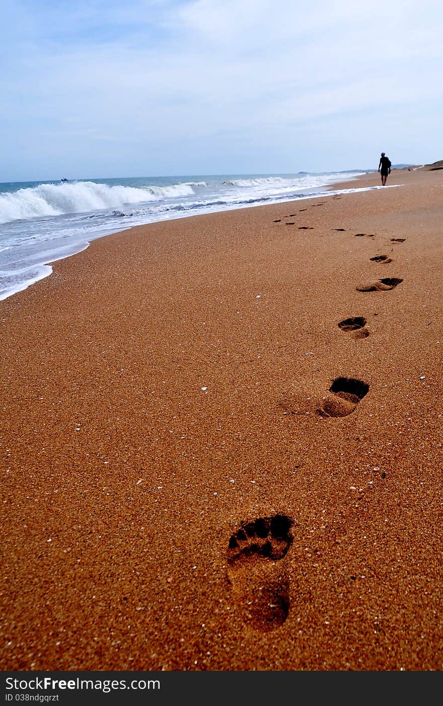 Track in the wet sand