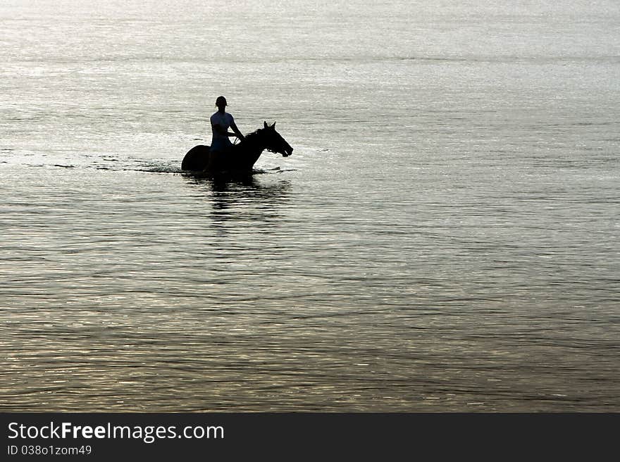 Silhouette of horse and rider in ocean.