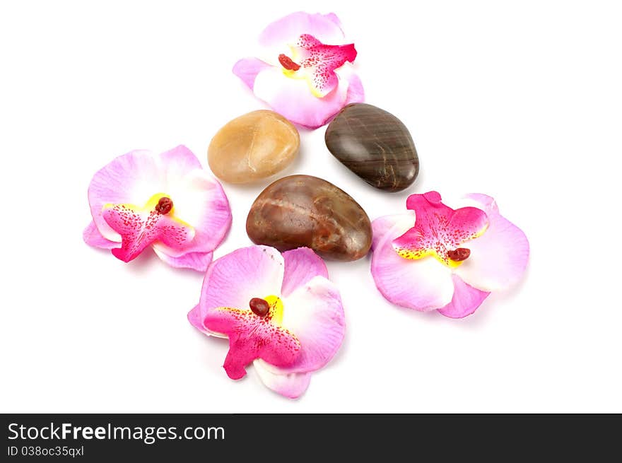 Orchid and stones isolated on white background