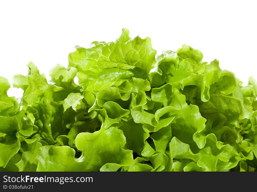 Lettuce Salad