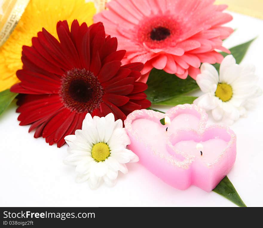 Flowers and candles on a white background