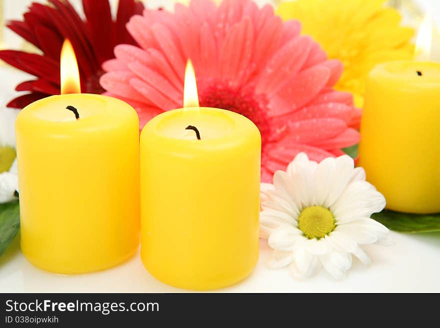 Flowers and candles on a white background