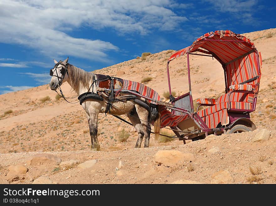 Horse used for transportation, Petra Jordan. Horse used for transportation, Petra Jordan