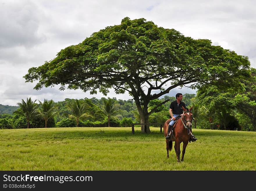 A man on horseback