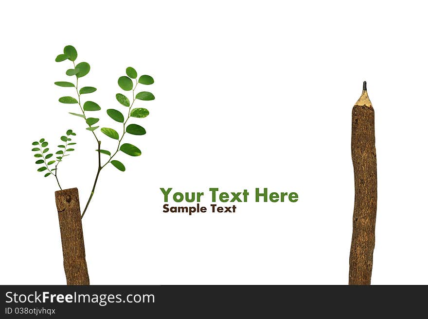 Concept Trees growing on a pencil after Global Warming isolate on white (with sample text)