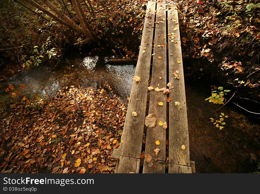 Footpath Through Over a Stream