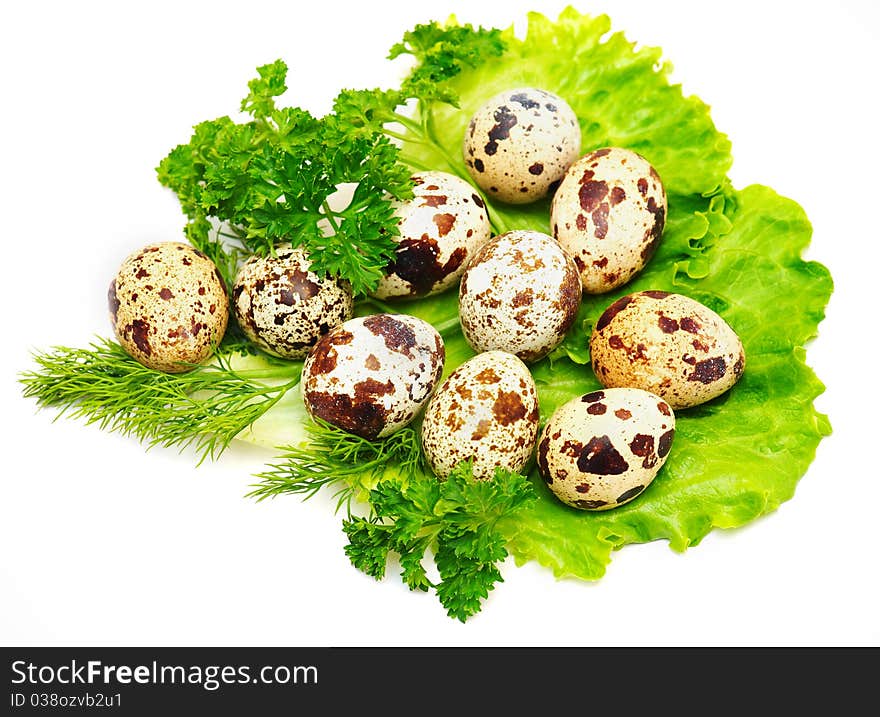 Isolated quail eggs with fresh salad, fennel and parsley