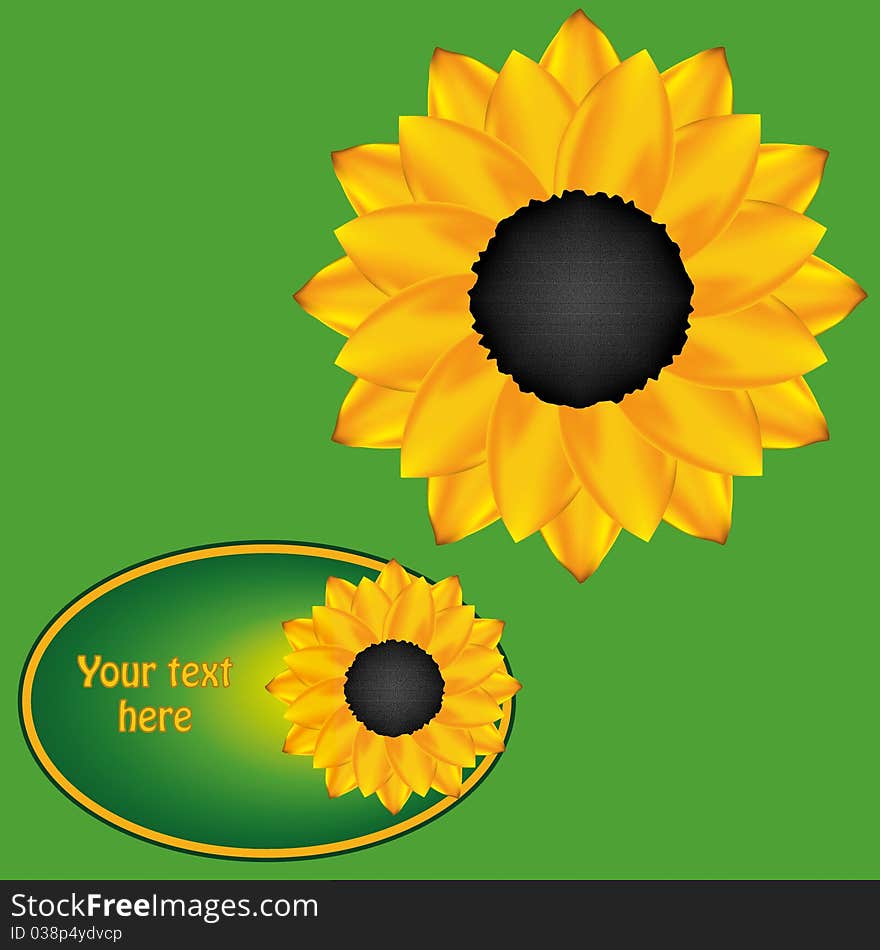 Sunflower card