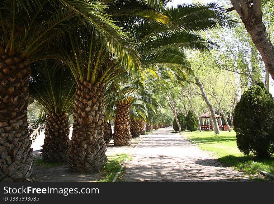 Tanga manga park in San Luis Potosi, Mexico