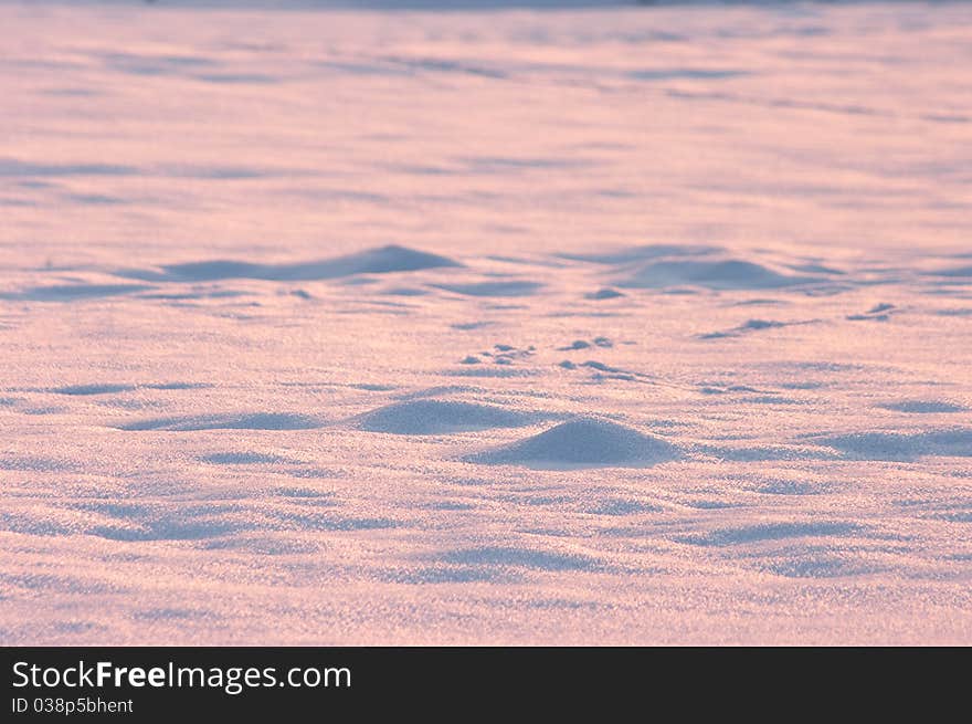 Pink snow texture during sunset for background