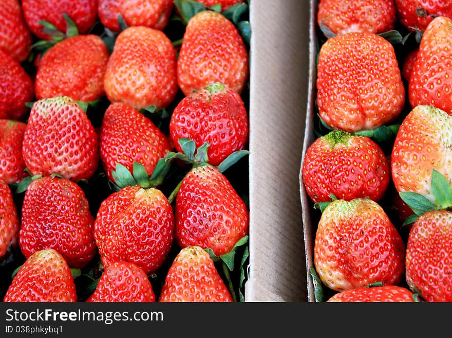 Strawberry in box.