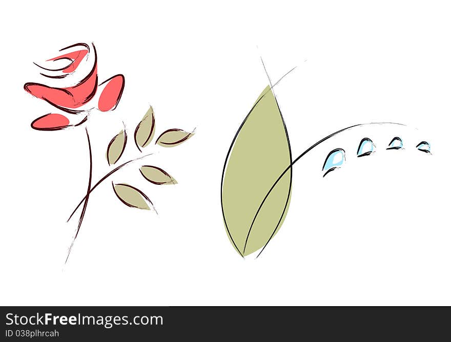 Drawings of flowers on white background