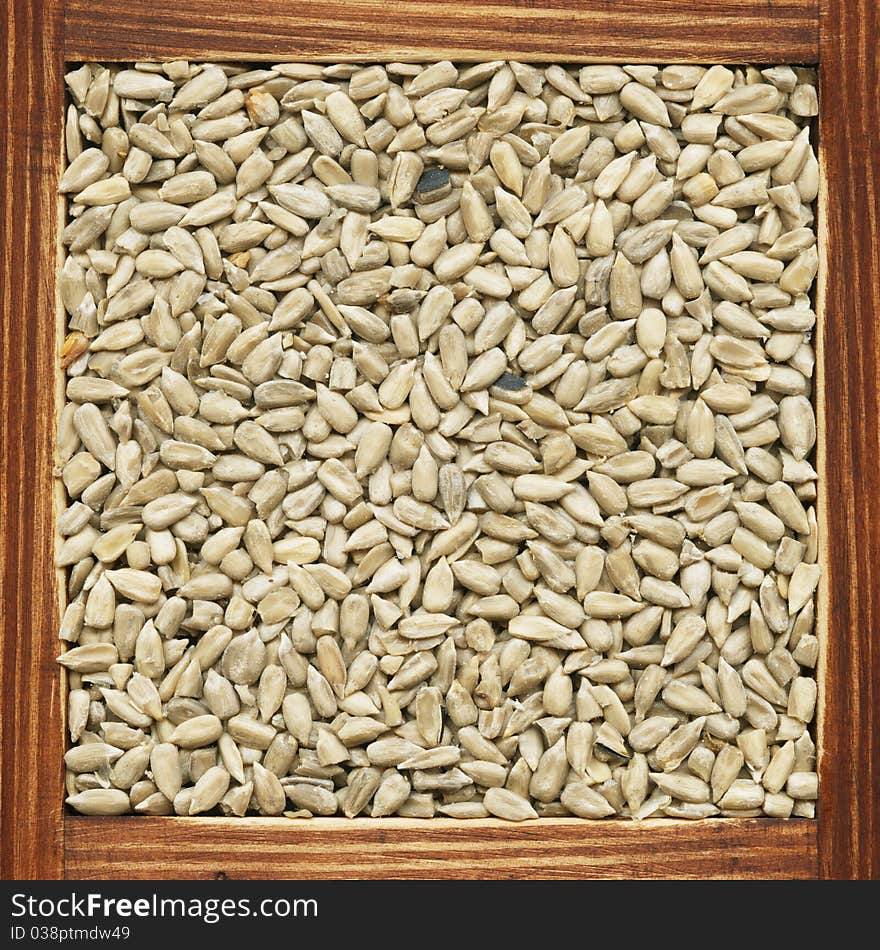 Sunflower Seeds