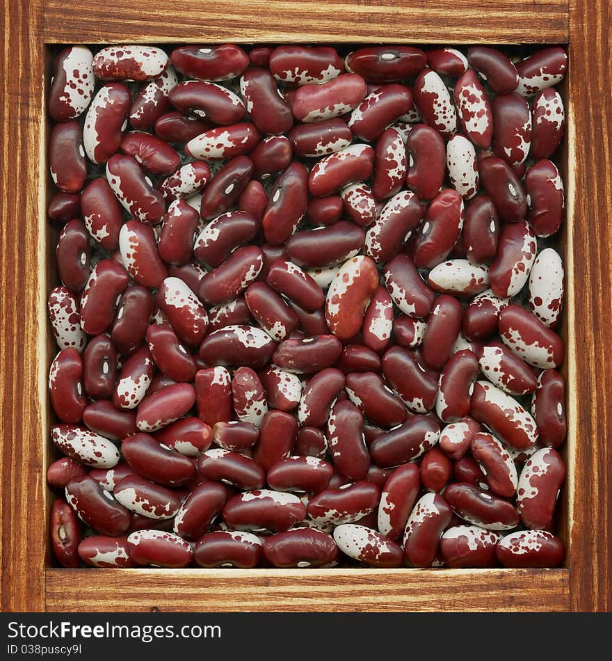 Kidney Beans