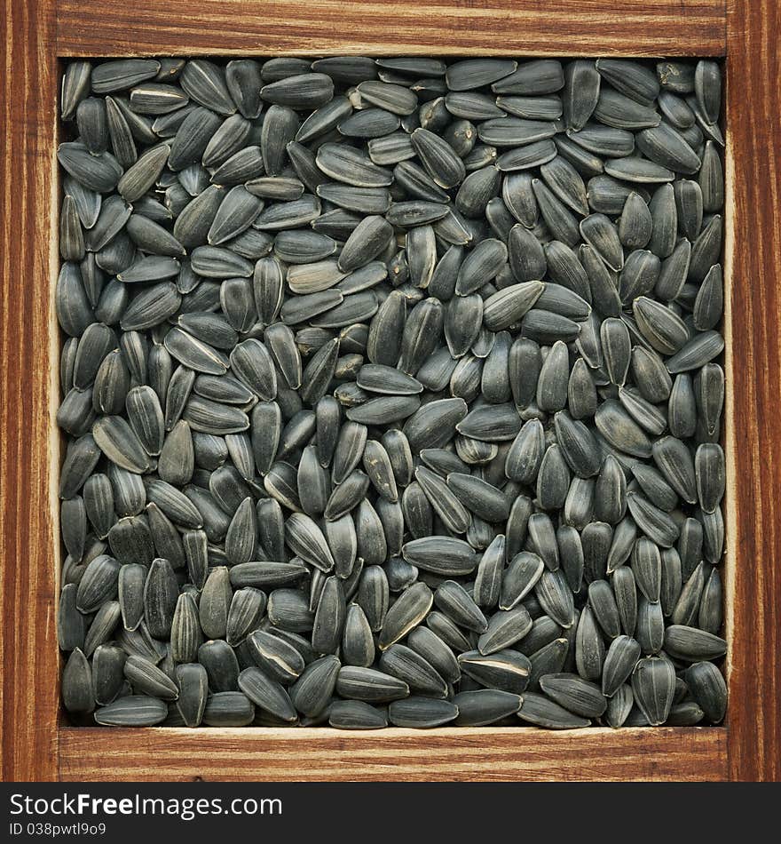 Sunflower Seeds