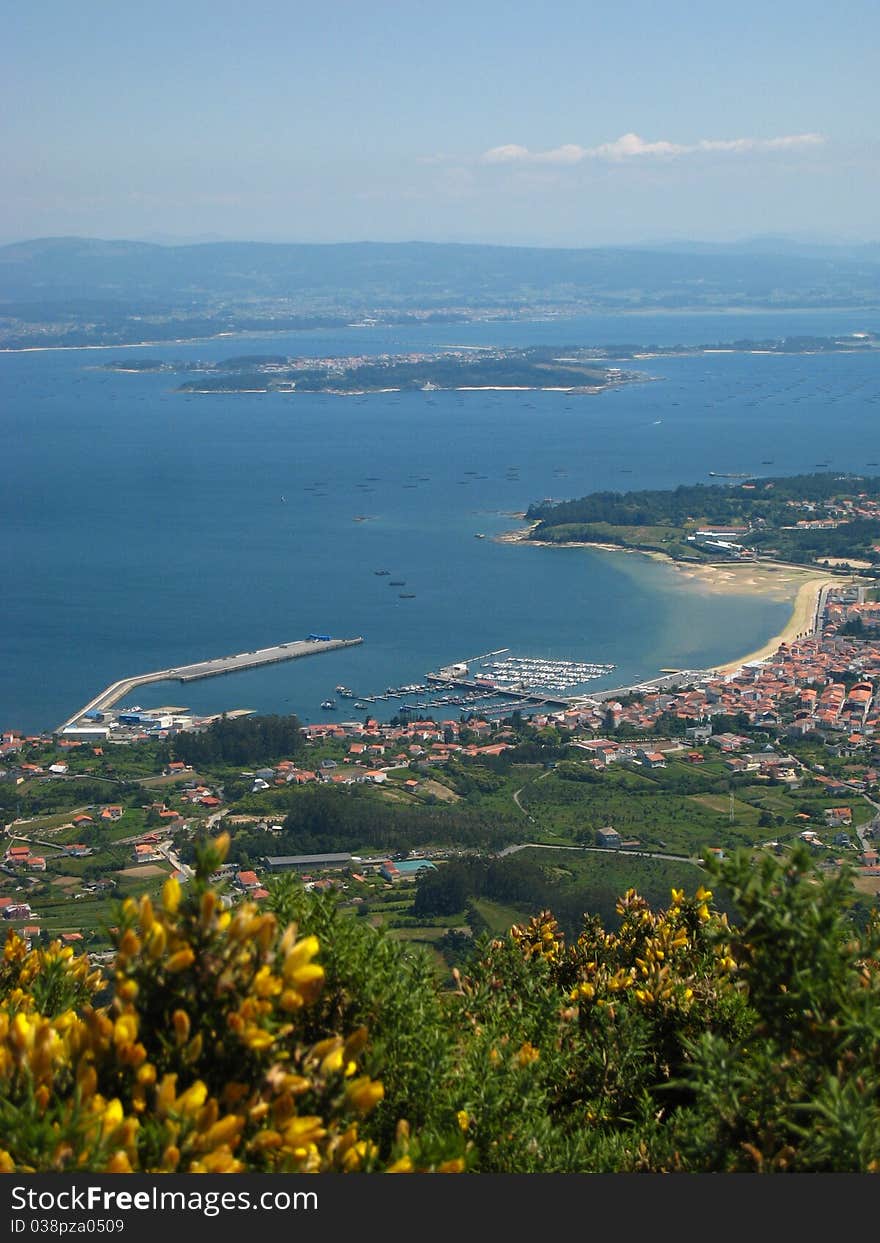 Big blue estuary, a town and yellow flowers