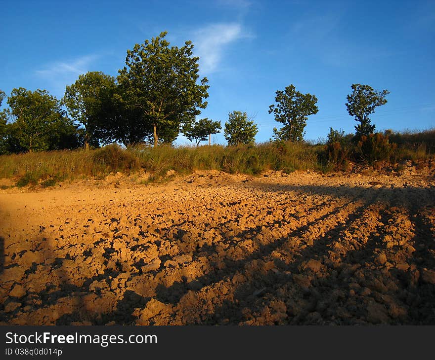 Furrows Plowed Into A Dirt Field