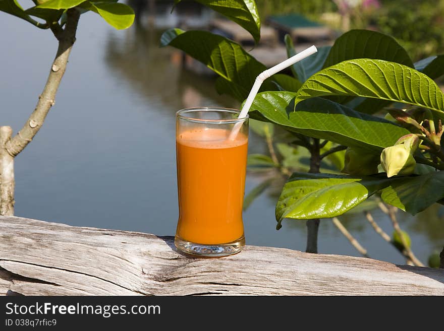 Carrot Juice