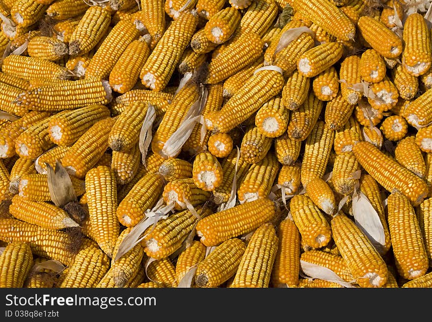 Corns