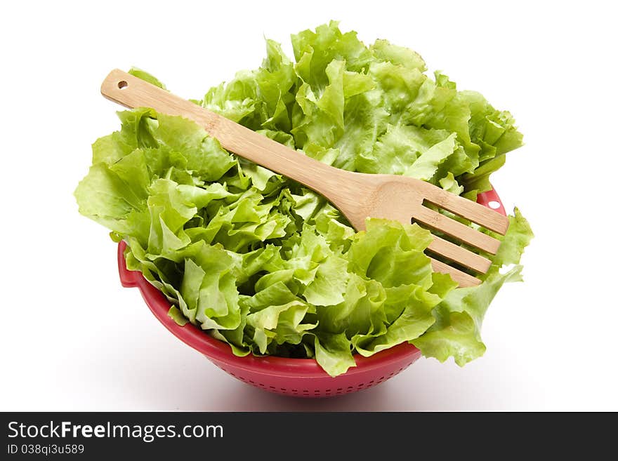 Endives salad in the sieve