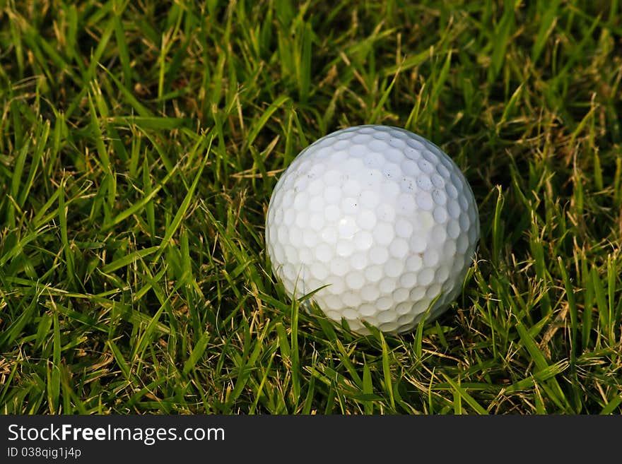 Colf ball on grass in sun light