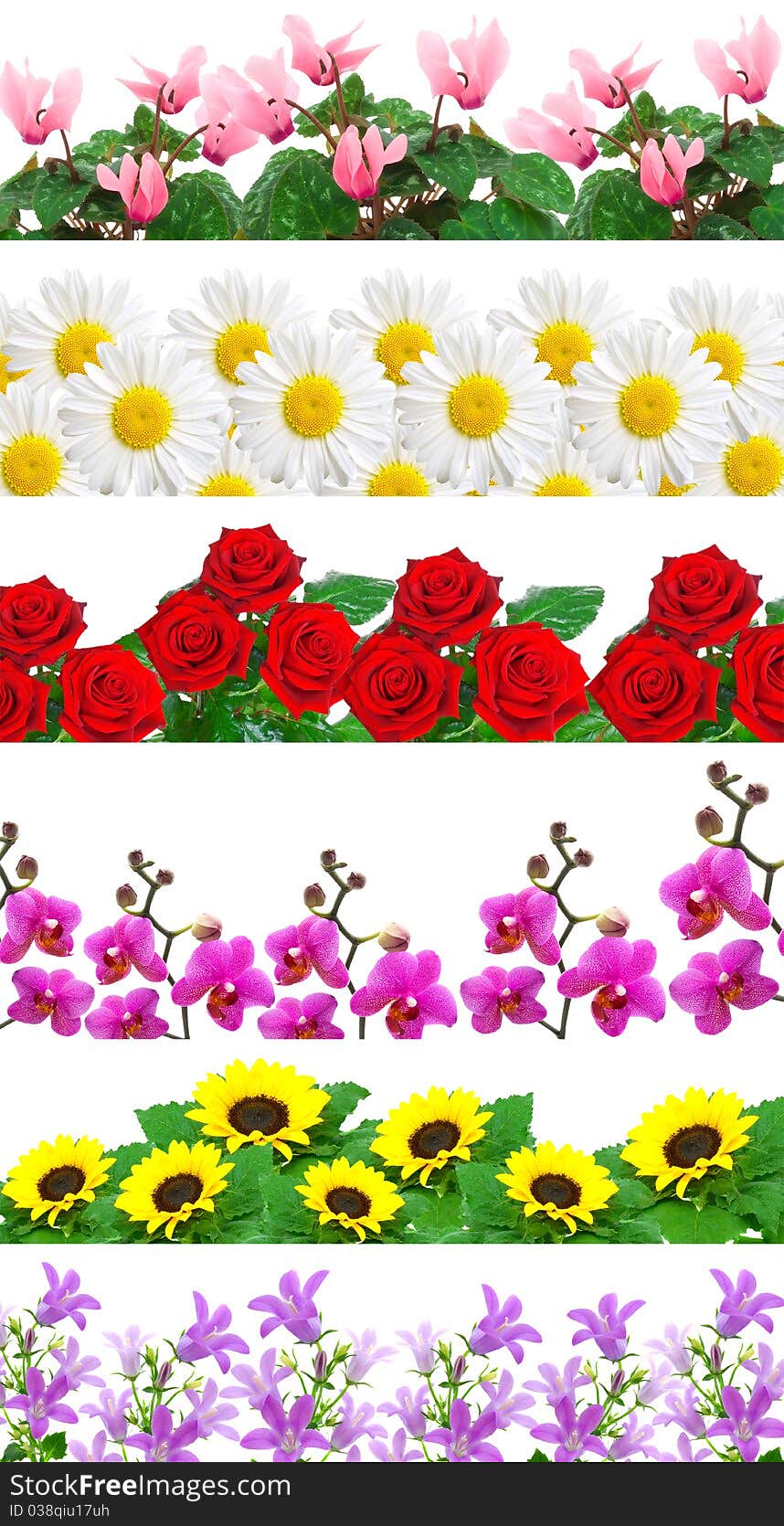 Set of flowers background, isolated on a white background