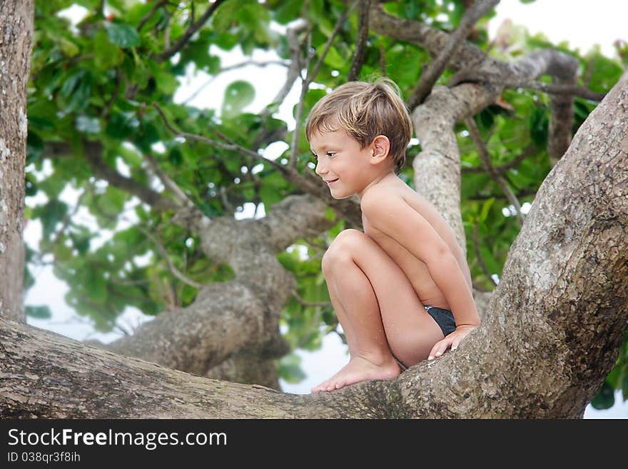 Cute boy on a tree