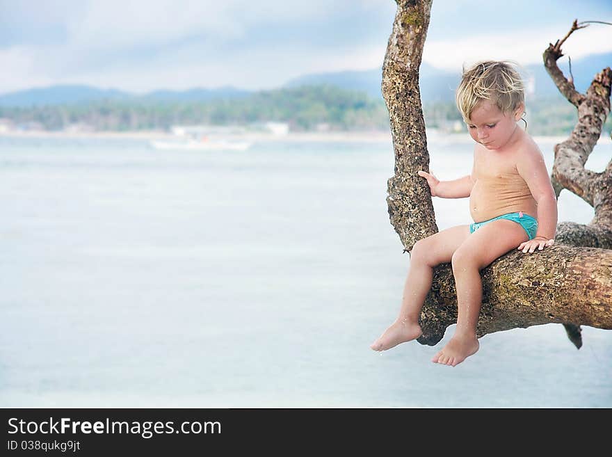 Cute child sitting on tree on sea background. Cute child sitting on tree on sea background