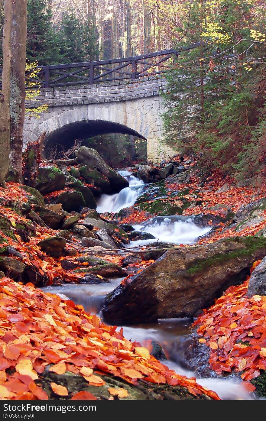 Autumn wild river flowing under a stone bridge