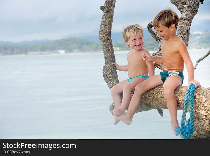 Two children having fun on tree. Two children having fun on tree