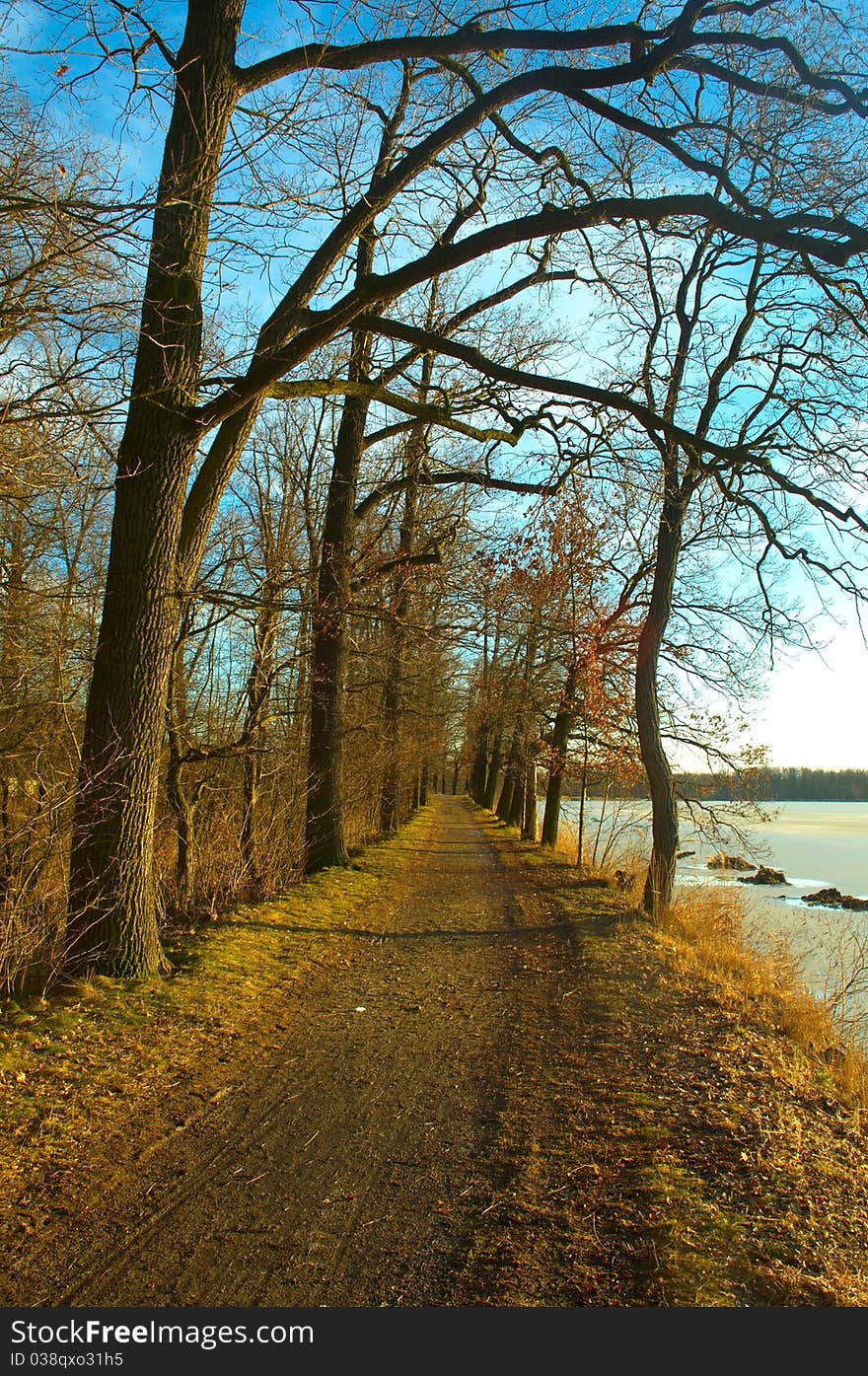 Path with trees  on riverbank