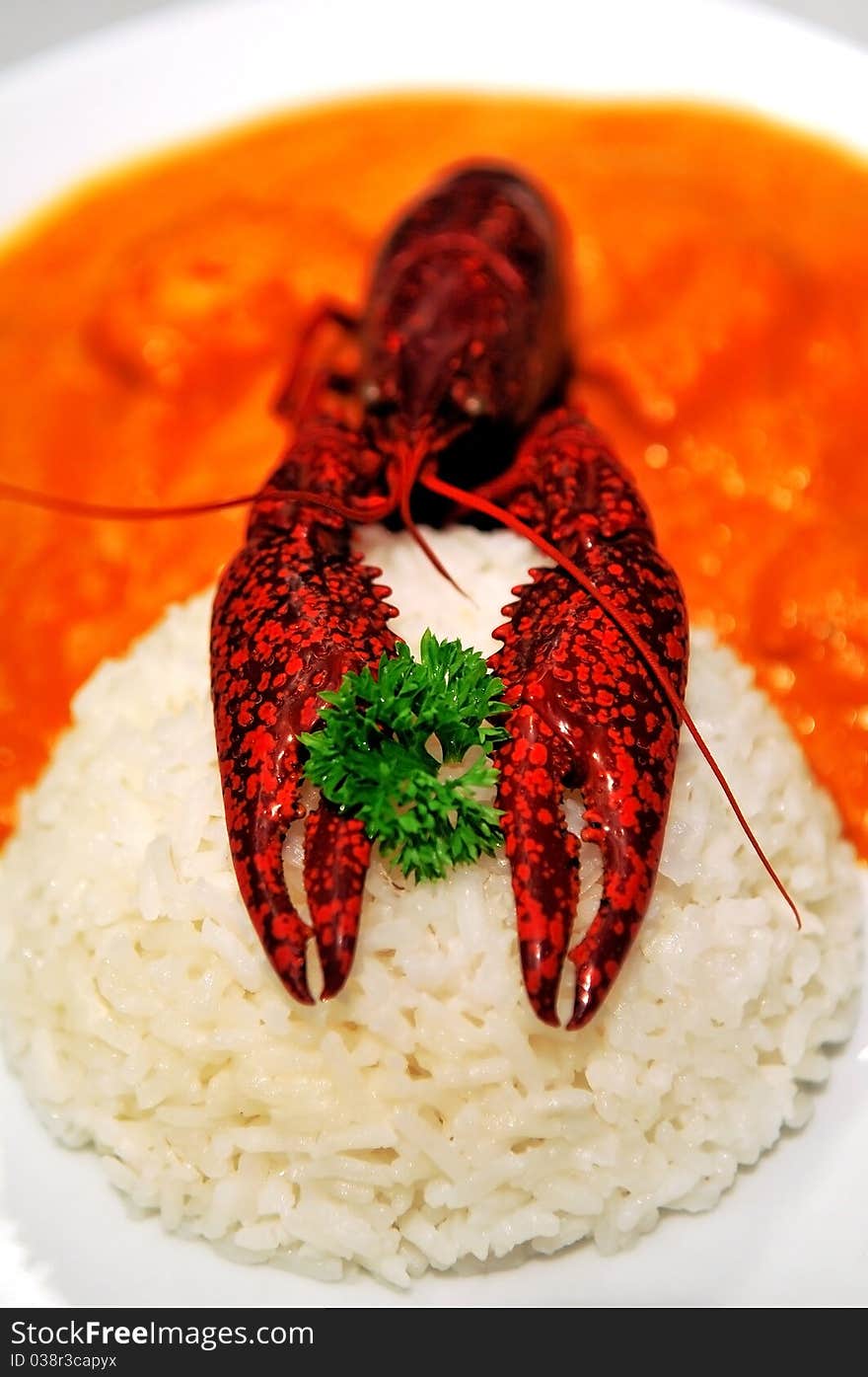 Crab whit rice and sauce tipical of peru