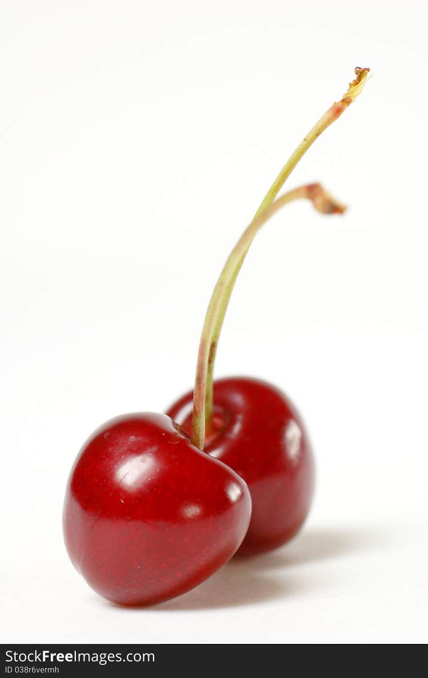 Two cherries on a white Background. Two cherries on a white Background