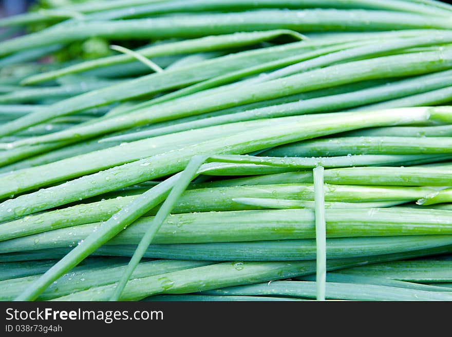 Fresh green onions