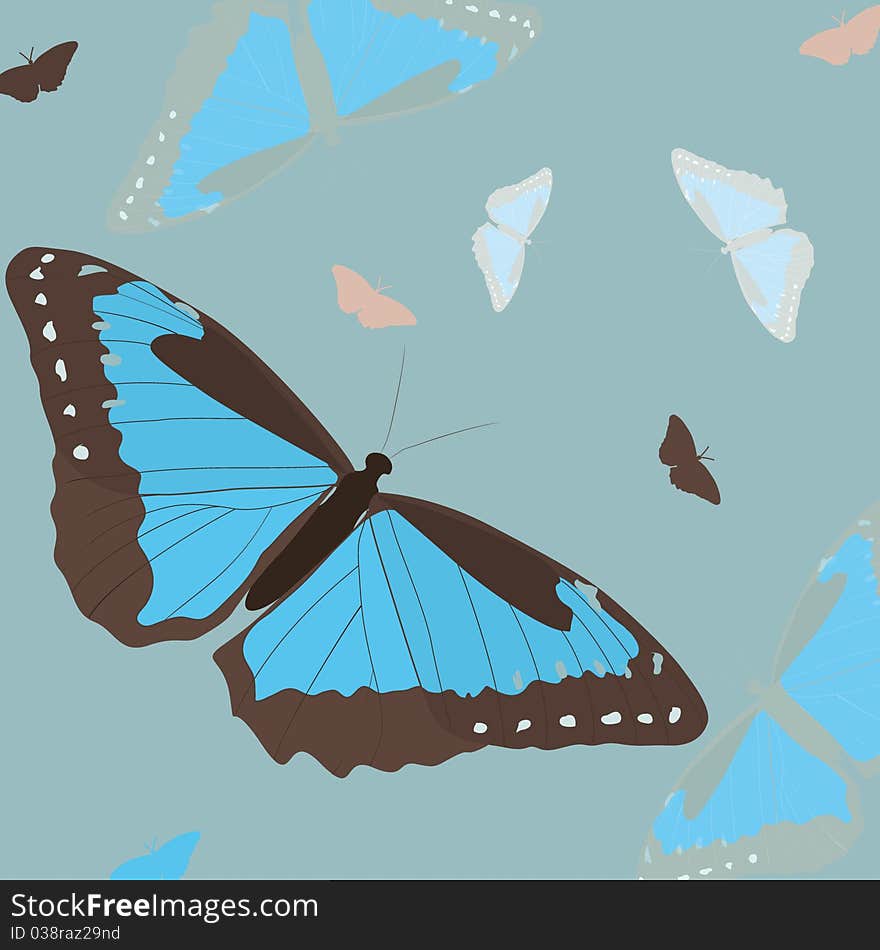 Blue butterfly on sky background