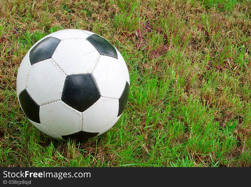 Soccer ball on the green grass, sports item