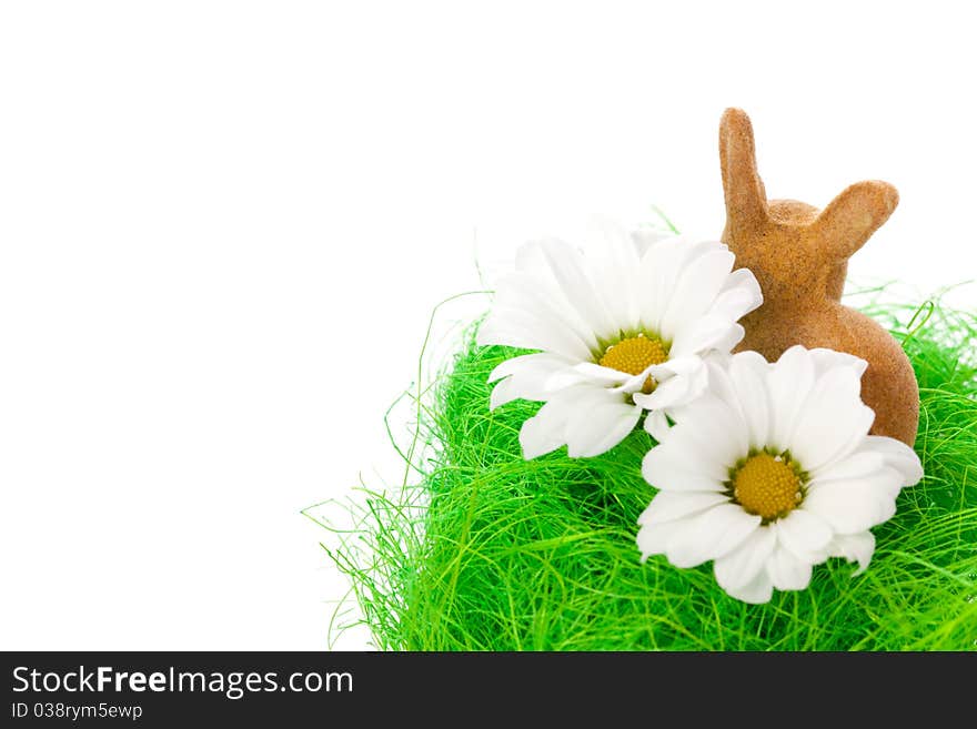 Easter bunny and blossom isolated on white background