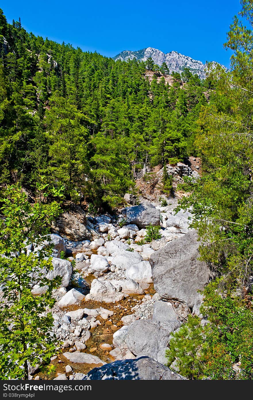 Wild mountain canyon