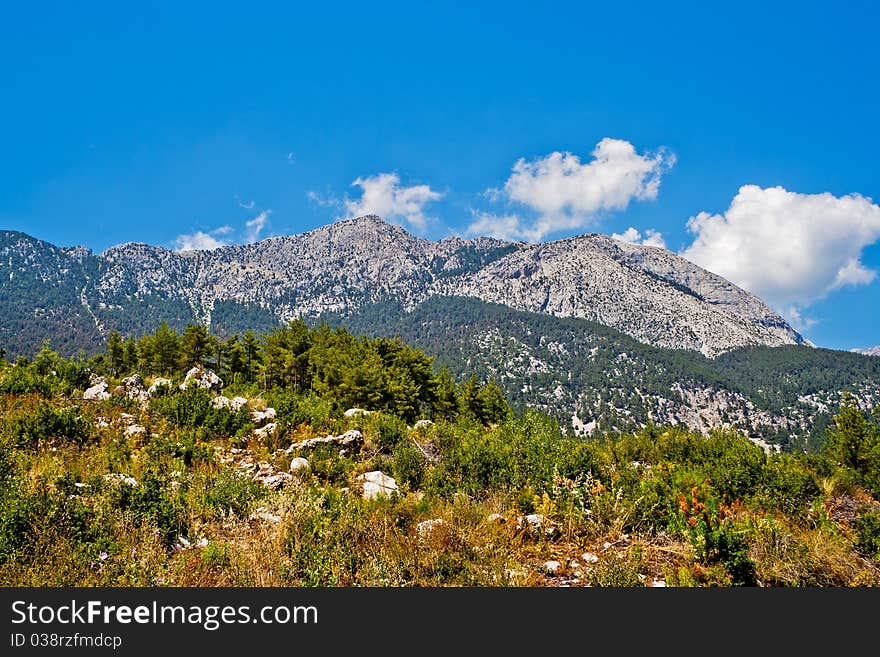 Rocks and trees of the Taurus Mountains. Turkey. Rocks and trees of the Taurus Mountains. Turkey.