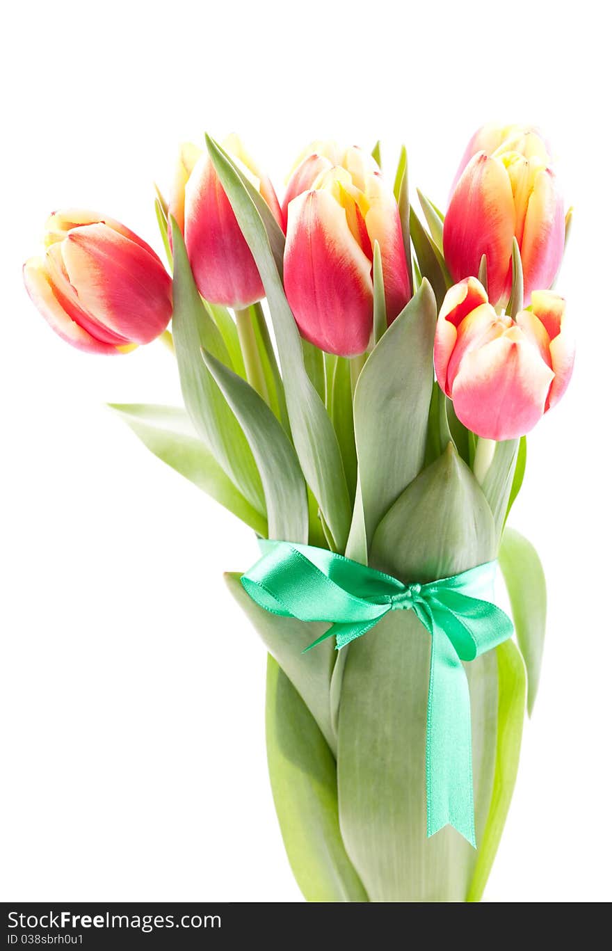 Tulips bouquet with ribbon isolated on white background. Tulips bouquet with ribbon isolated on white background