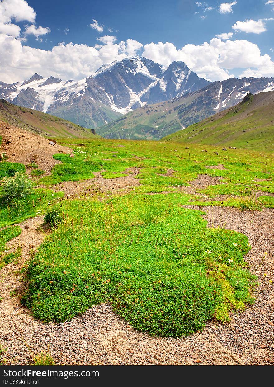 Green meadow on background of the mountains with white cloud. Composition of the nature