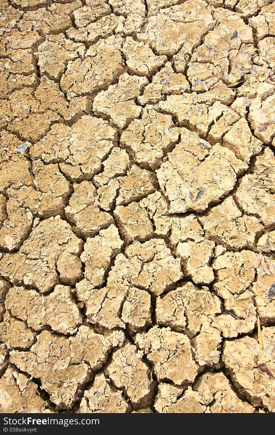 Close-up pattern on the ground arid