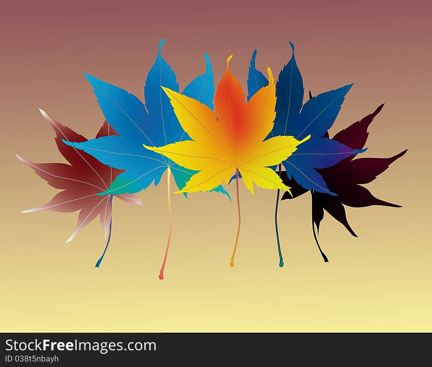 Colourful Leaves