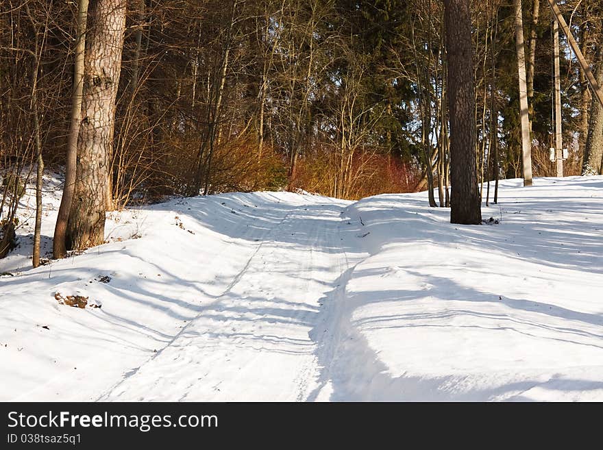 Winter Landscape, Park lane