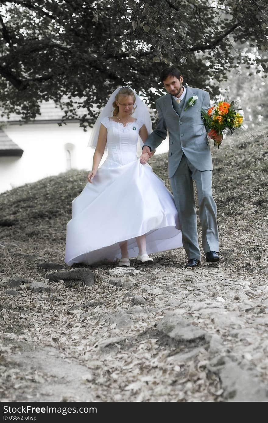 Bride and groom going down from downhill